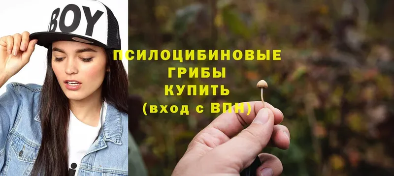 Псилоцибиновые грибы Magic Shrooms  купить наркотик  Большой Камень 